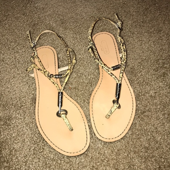Coach Shoes - Authentic Coach snake skin sandals